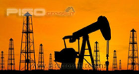 industria quimica y petroquimica PISO CROSSFIT